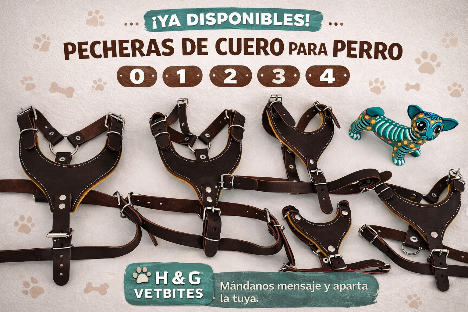 CORREAS DE CUERO TALLAS 0 - 4