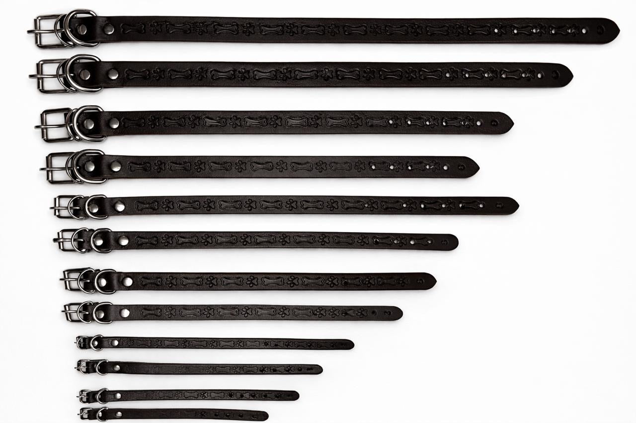 🐶 Collar de Cuero para Perro – Talla 3