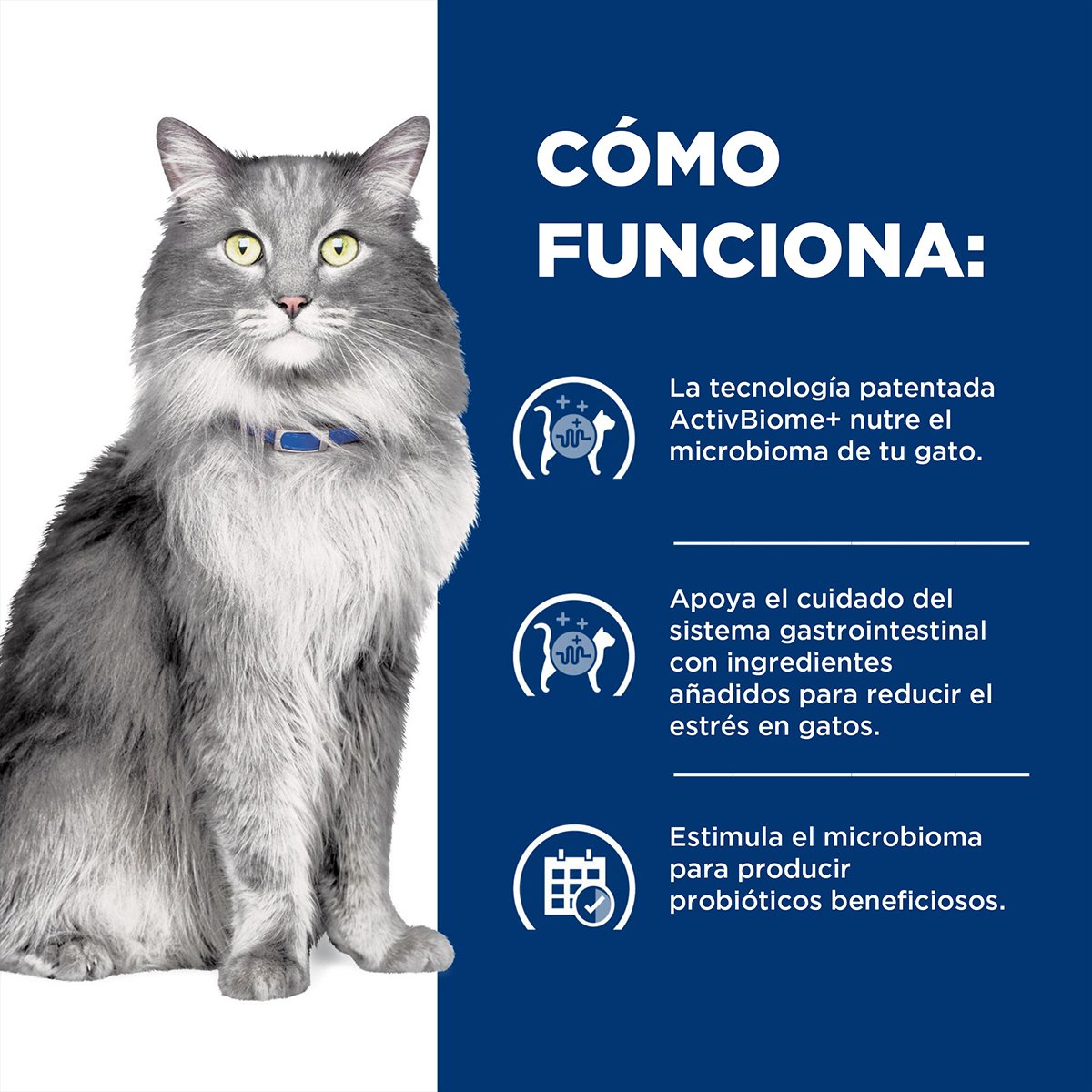 Hill's Prescription Diet Gastrointestinal Biome Alimento Seco Cuidado Digestivo para Gato Adulto, 1.8 kg